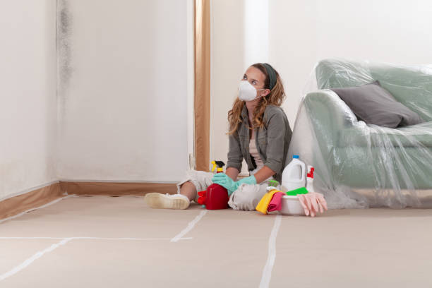 Reliable Mold Inspection contractor in Great Mills, MD by WQB Mold Removal